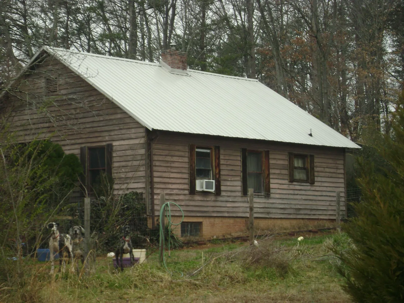 White metal roof on an old wood sided farmhouse, from a Asphalt Shingle Roof Repair job in Farmingdale